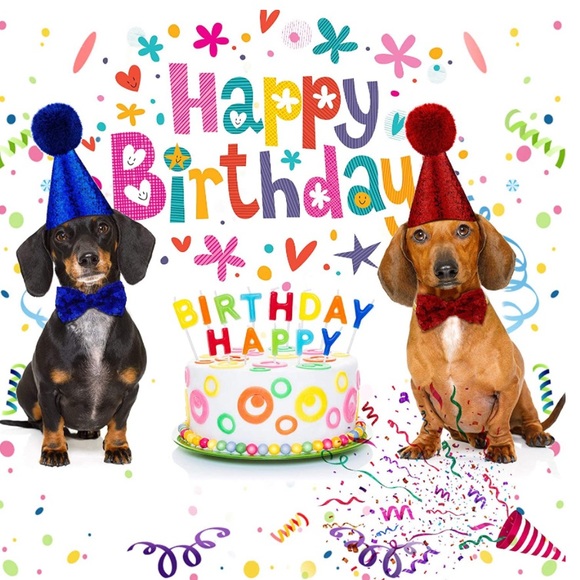 COPY - 6 Pieces Dog Birthday Party Supplies Include 2 Pieces Dog Birthday Banda… - Picture 4 of 7